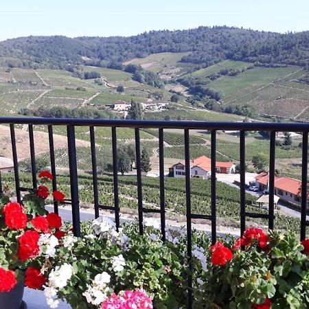 Domaine Du Coteau Des Lys Fleurie Exterior foto