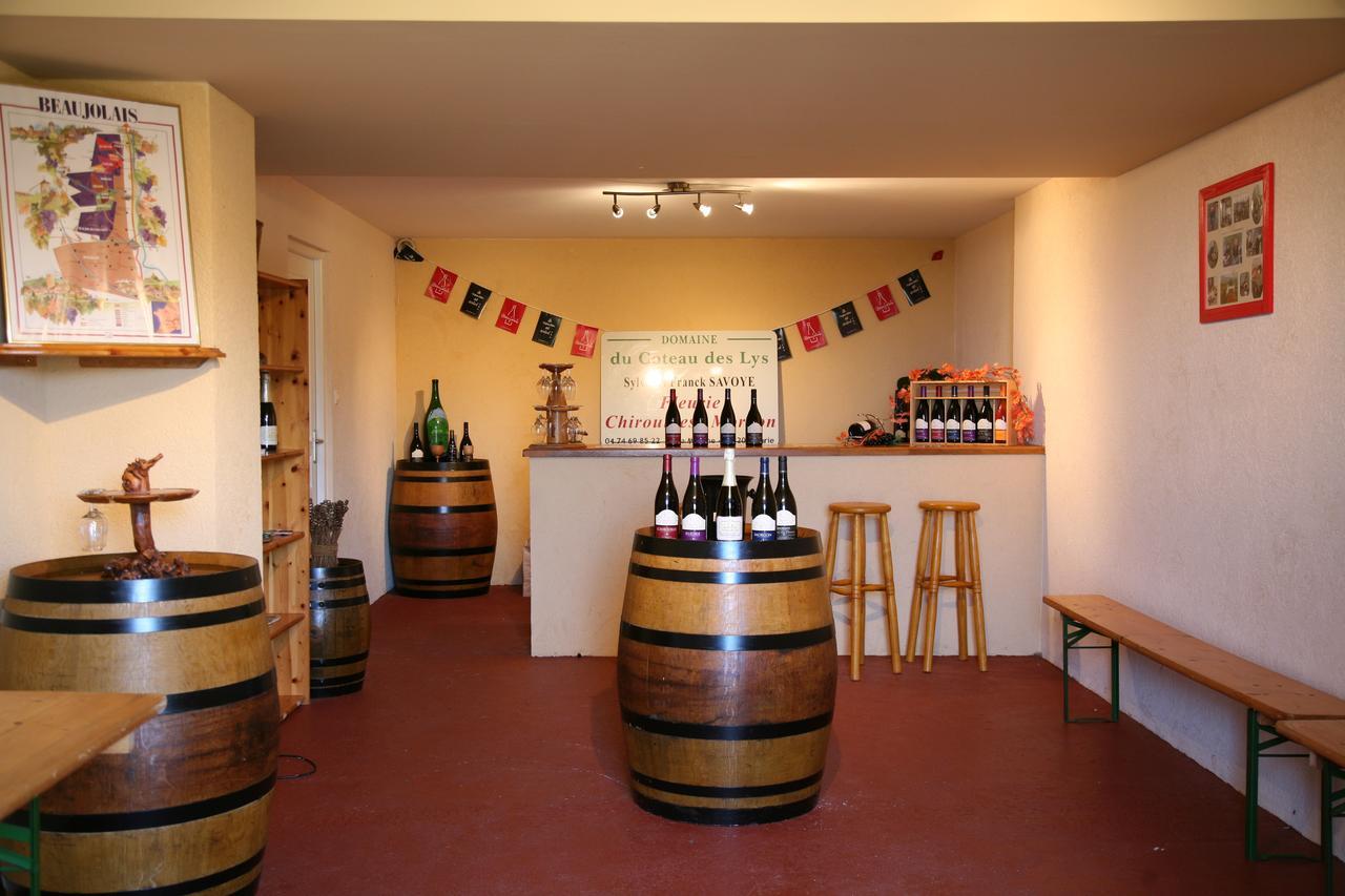 Domaine Du Coteau Des Lys Fleurie Exterior foto