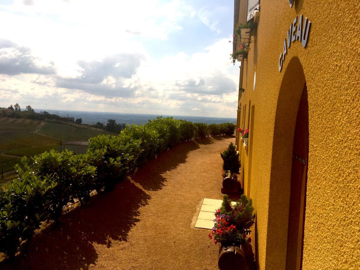Domaine Du Coteau Des Lys Fleurie Exterior foto