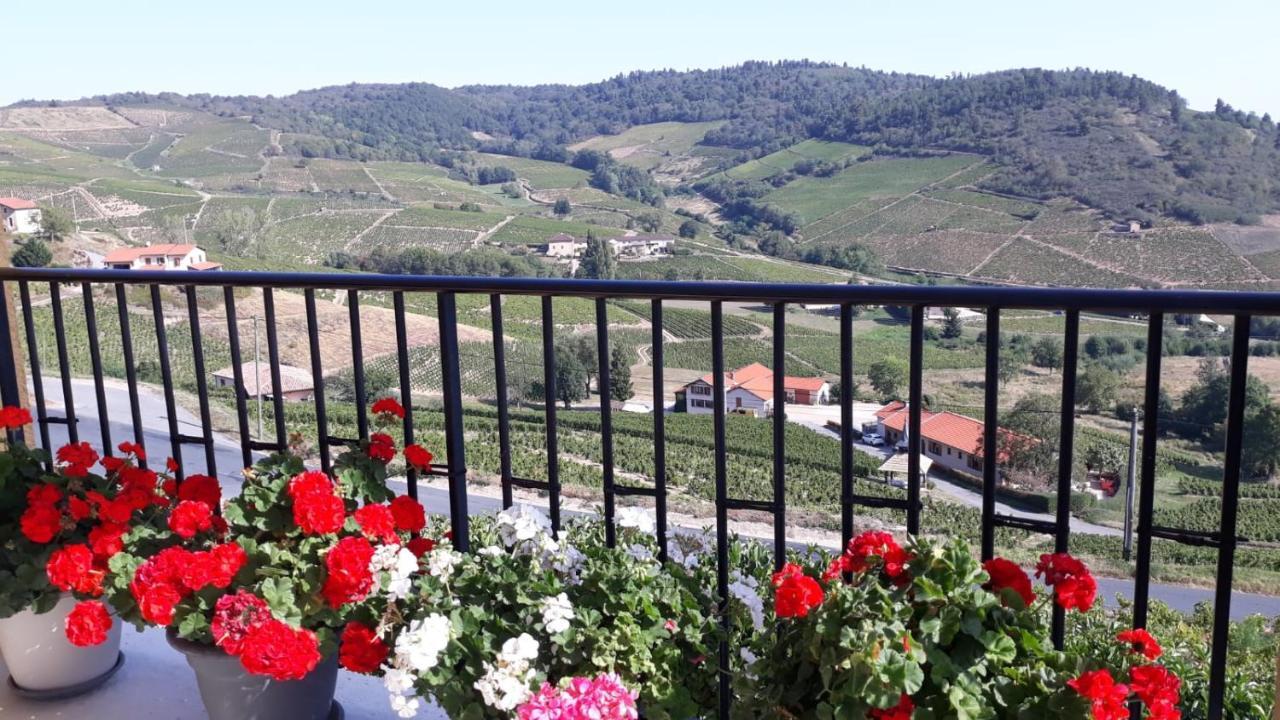 Domaine Du Coteau Des Lys Fleurie Exterior foto