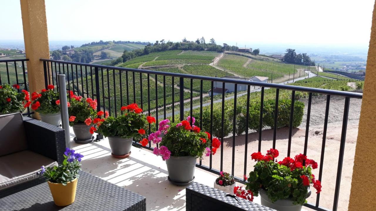 Domaine Du Coteau Des Lys Fleurie Exterior foto